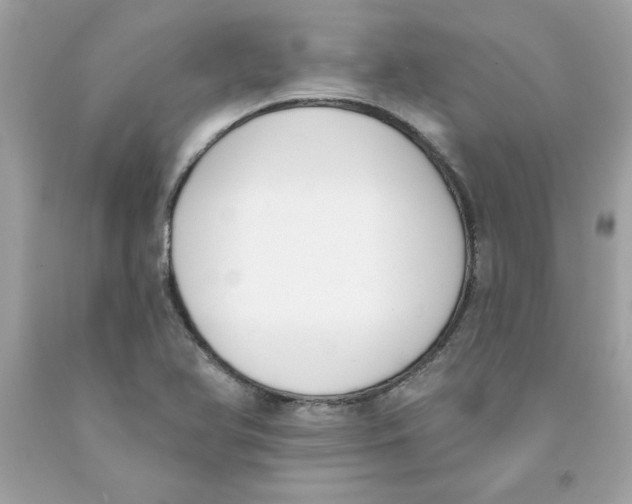 X0000091071366200709041211