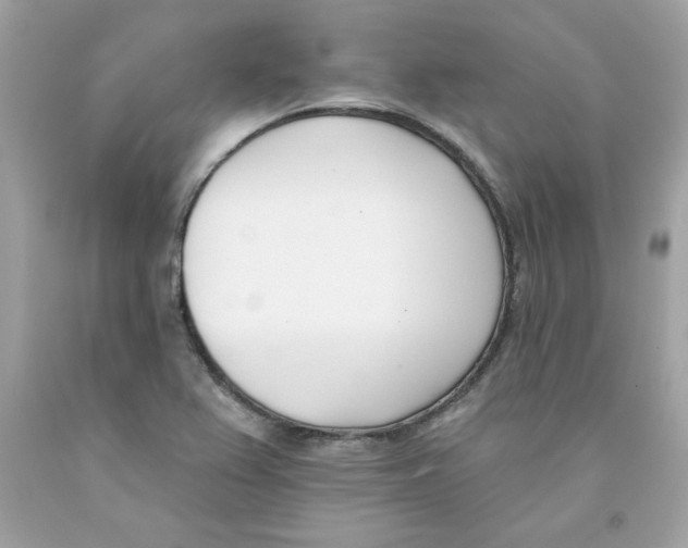 X0000091071367200709041211