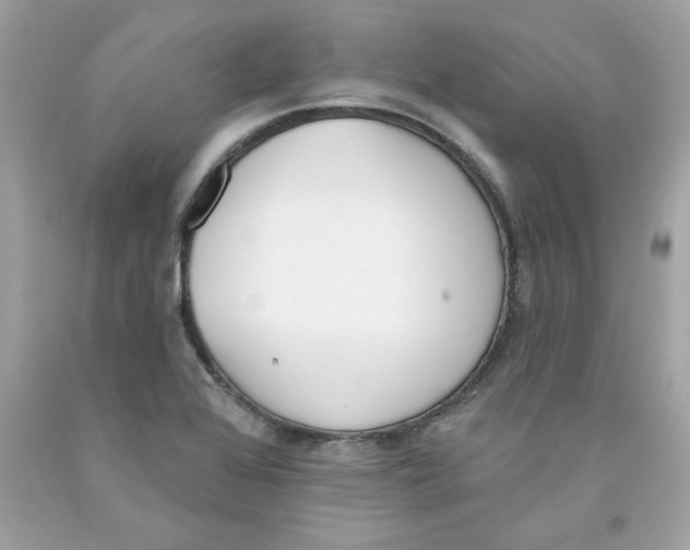 X0000091071368200709041211