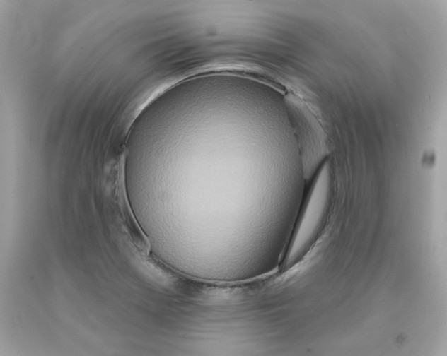 X0000091071369200709041211