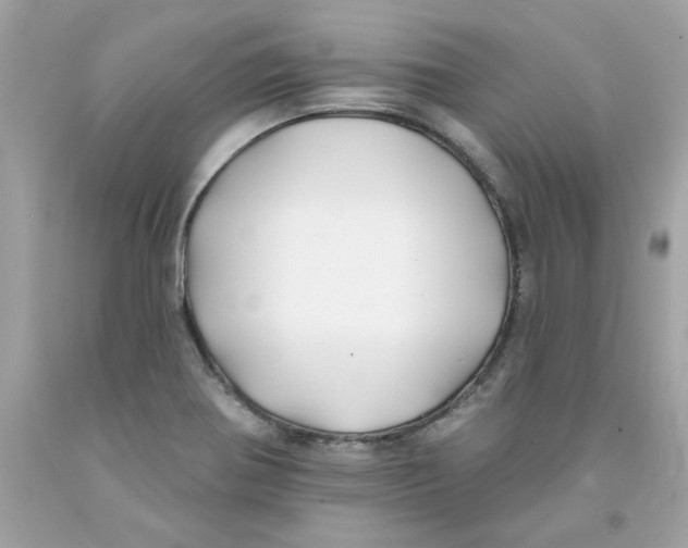 X0000091071370200709041211