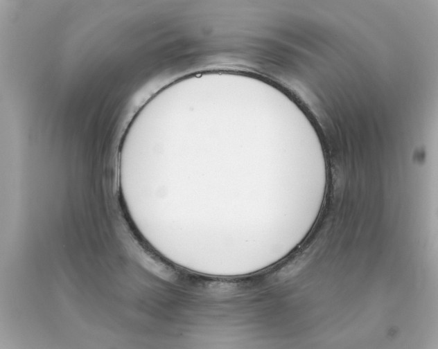 X0000091071371200709041211
