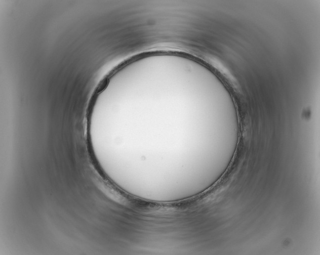 X0000091071372200709041211
