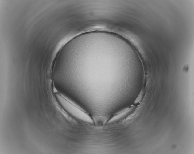 X0000091071373200709041211