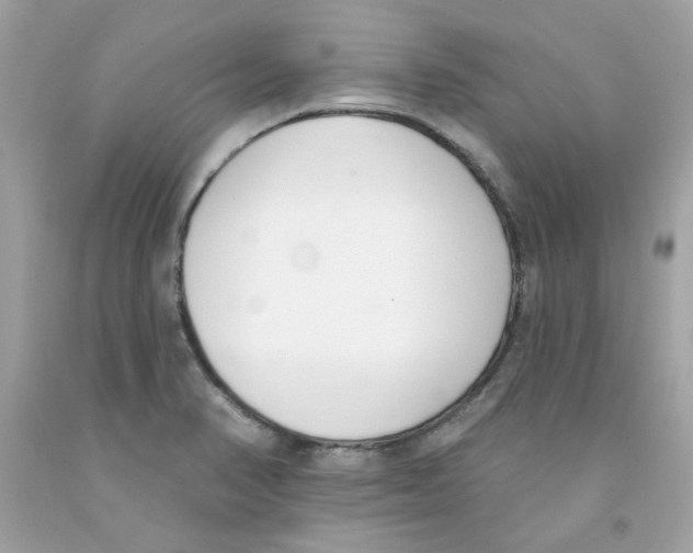 X0000091071374200709041211
