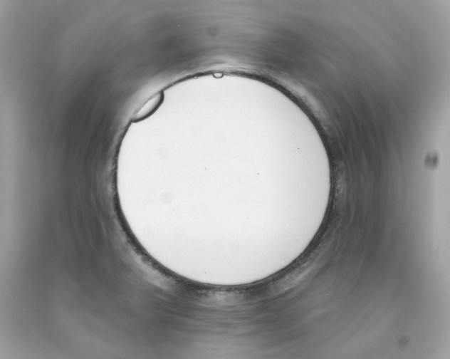 X0000091071375200709041211