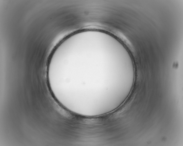 X0000091071376200709041211