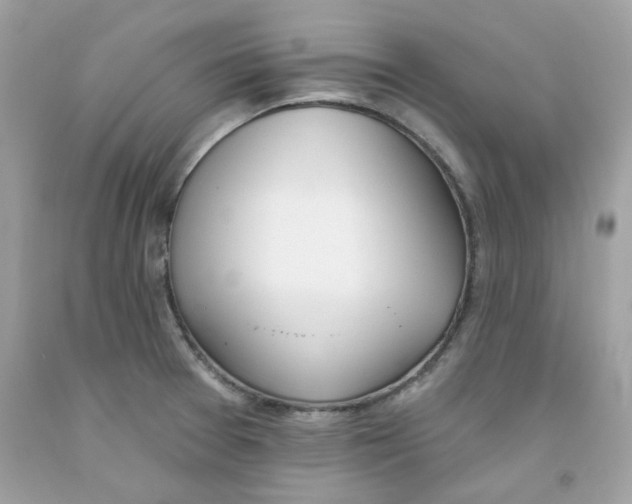 X0000091071377200709041211
