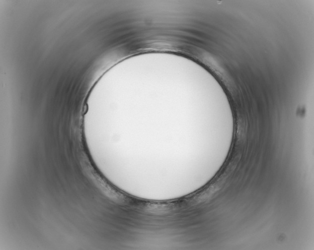 X0000091071378200709041211