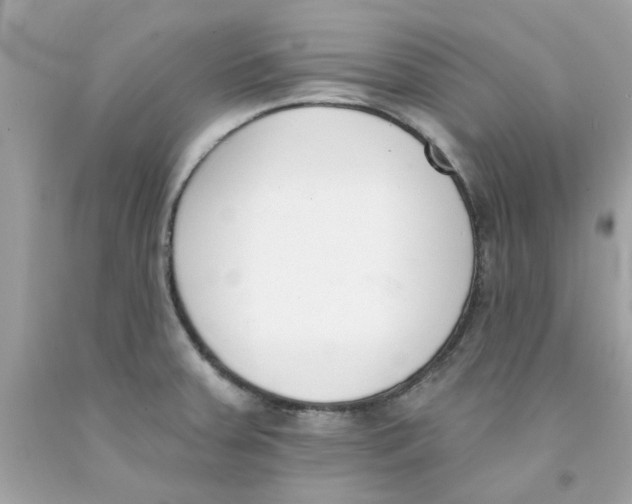 X0000091071379200709041211
