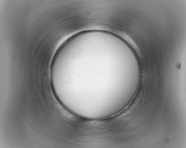 X0000091071380200709041211