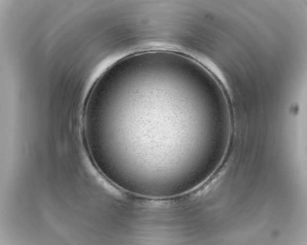 X0000091071381200709041211