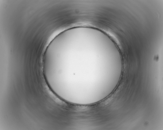 X0000091071382200709041211