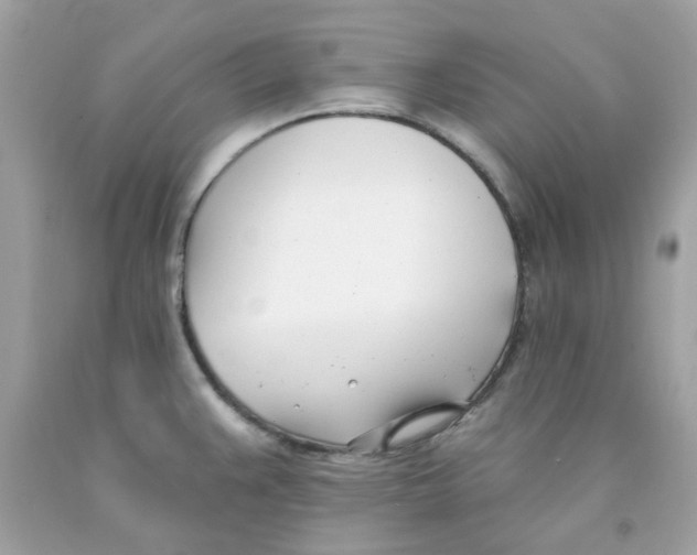X0000091071383200709041211