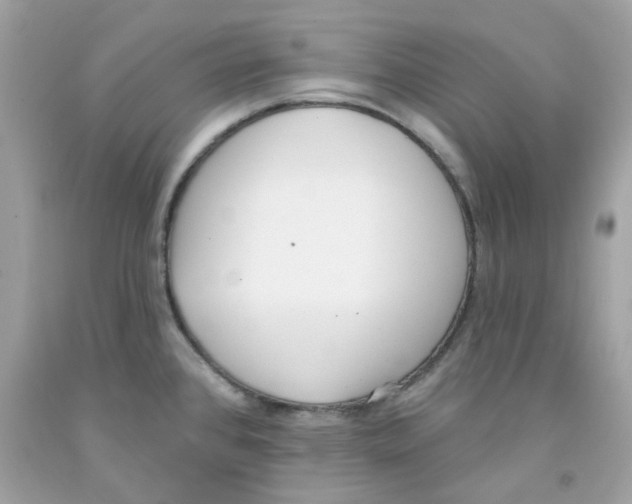 X0000091071384200709041211