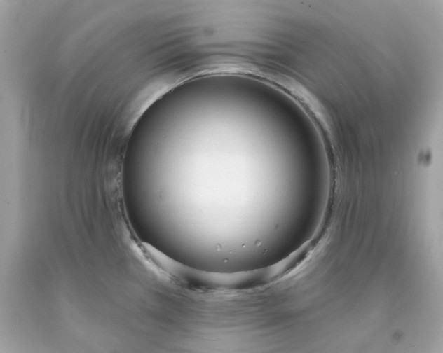 X0000091071385200709041211