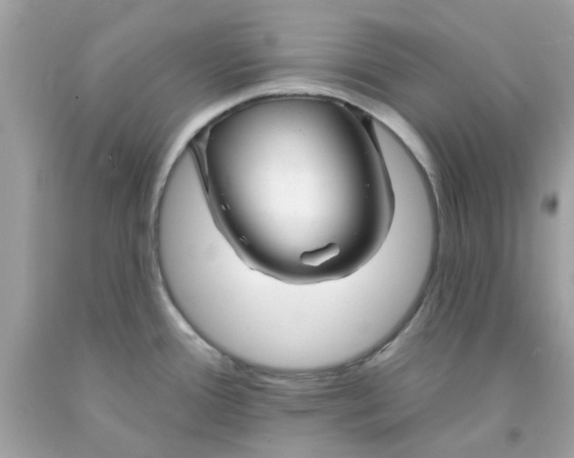 X0000091071388200709041210