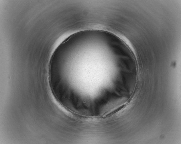 X0000091071389200709041210