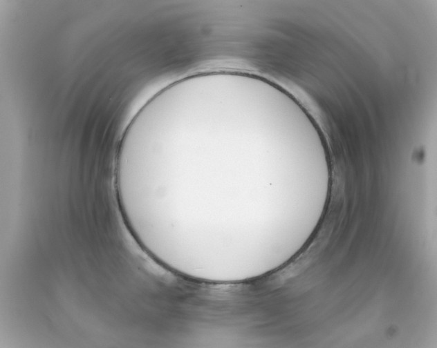 X0000091071390200709041210