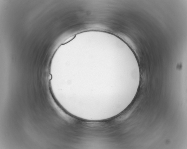 X0000091071391200709041210
