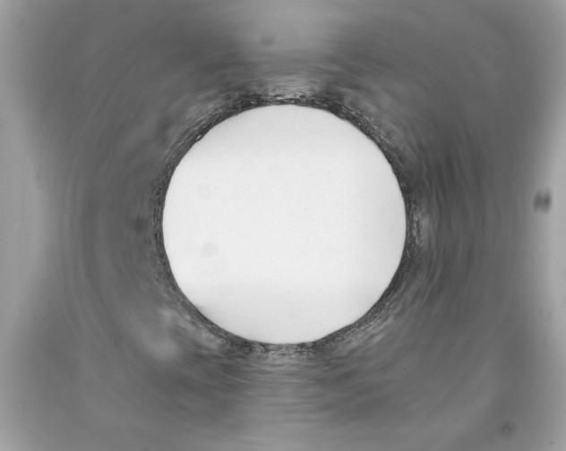 X0000091071393200709041210