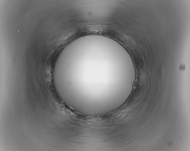 X0000091071394200709041210
