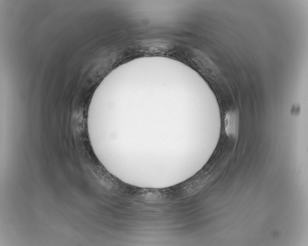 X0000091071395200709041210