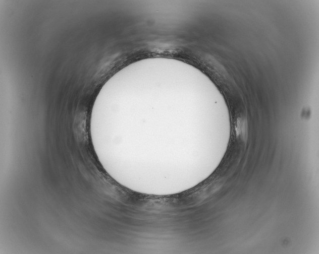 X0000091071396200709041210