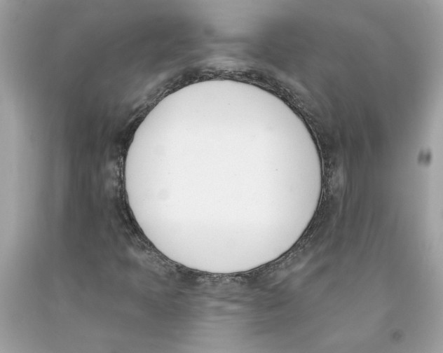 X0000091071397200709041210
