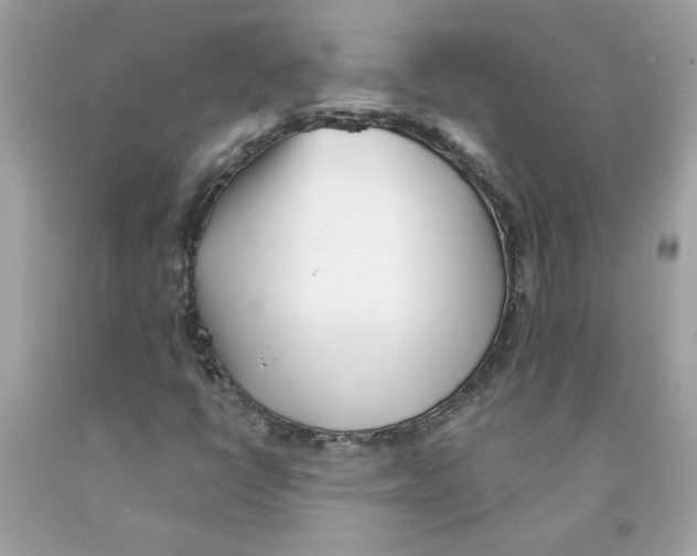 X0000091071398200709041210