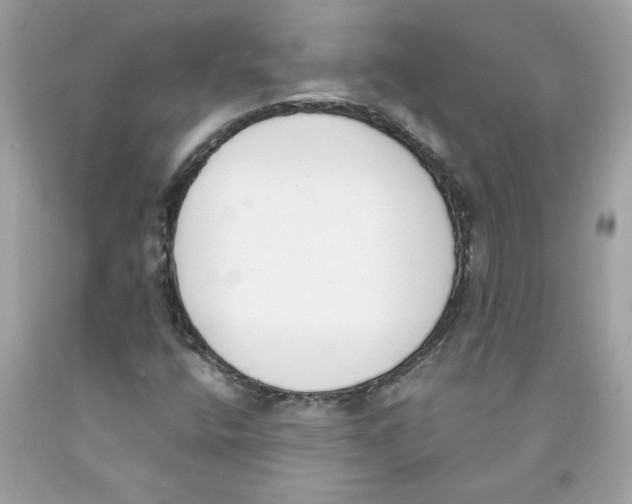 X0000091071400200709041210
