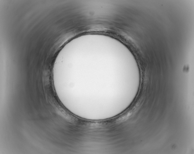 X0000091071401200709041210