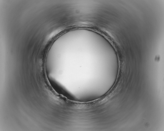 X0000091071402200709041210