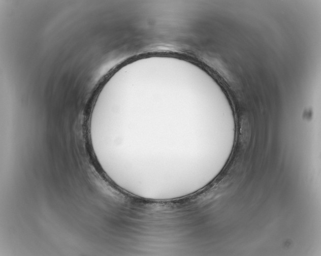 X0000091071404200709041210