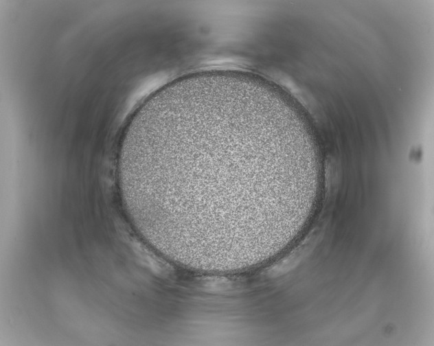 X0000091071405200709041210