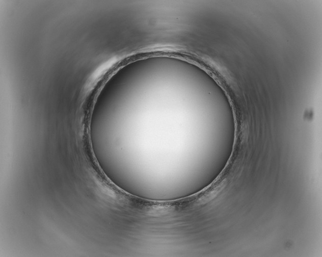 X0000091071406200709041210