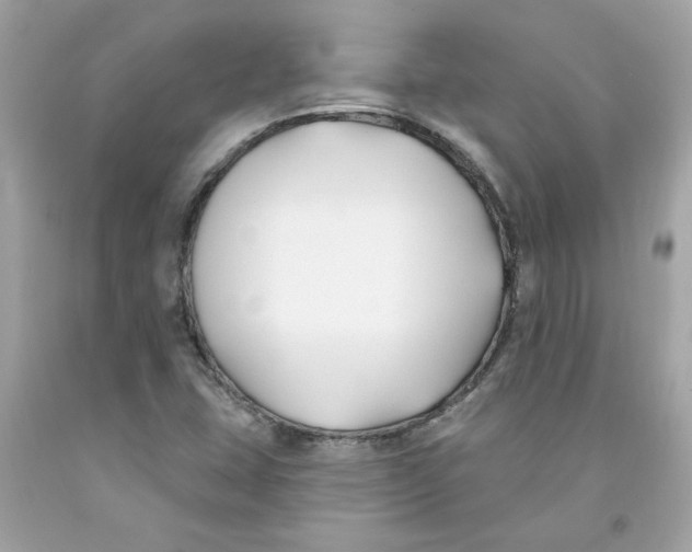 X0000091071407200709041210