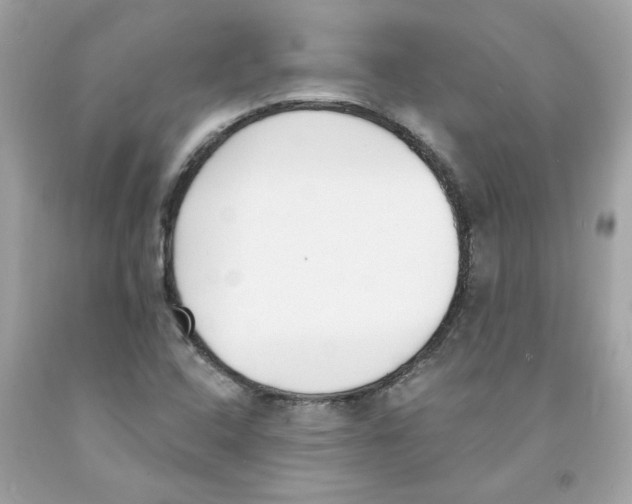 X0000091071408200709041210