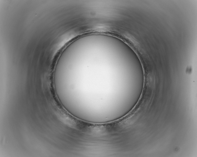 X0000091071410200709041210