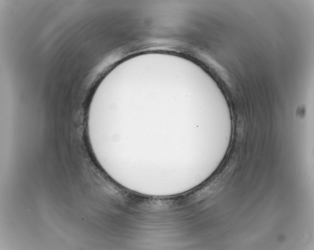 X0000091071411200709041210