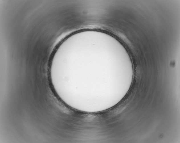 X0000091071412200709041210