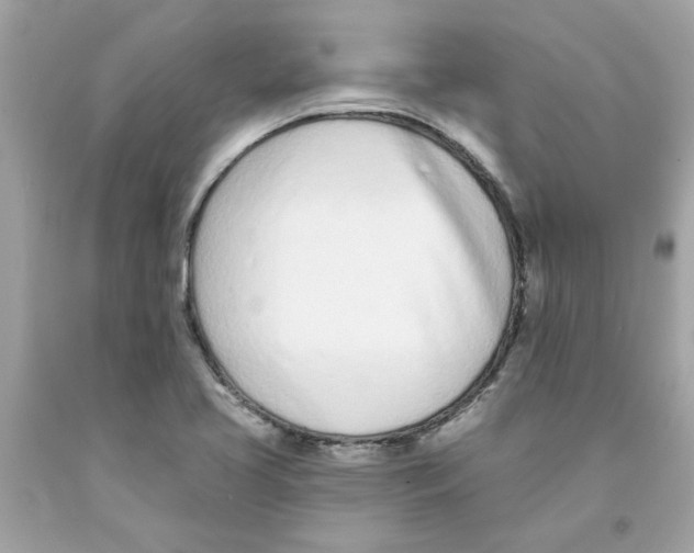 X0000091071413200709041210