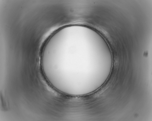 X0000091071414200709041210