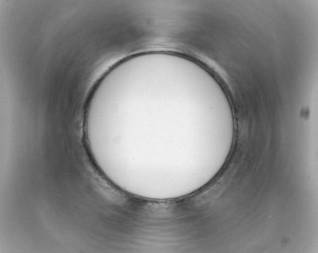 X0000091071415200709041210