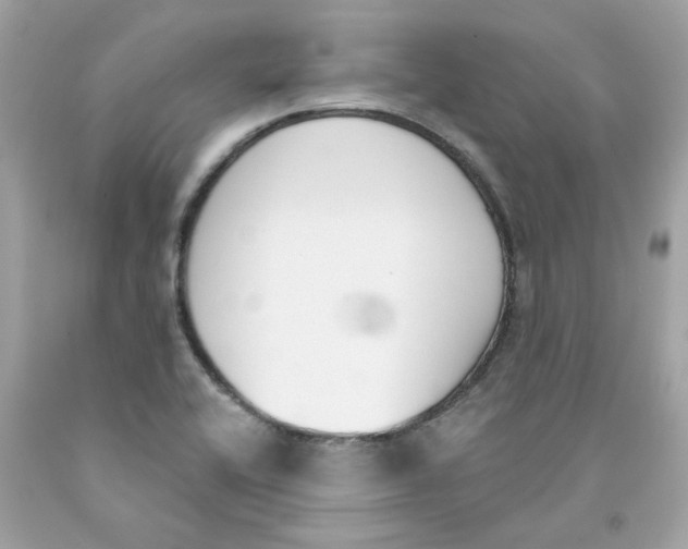 X0000091071416200709041210