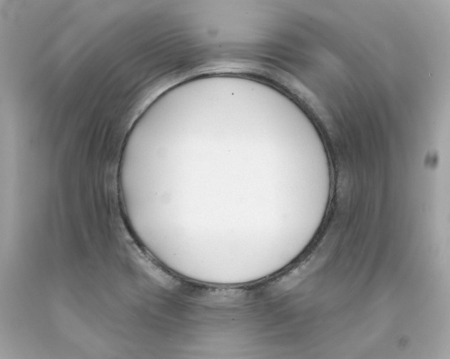 X0000091071417200709041210