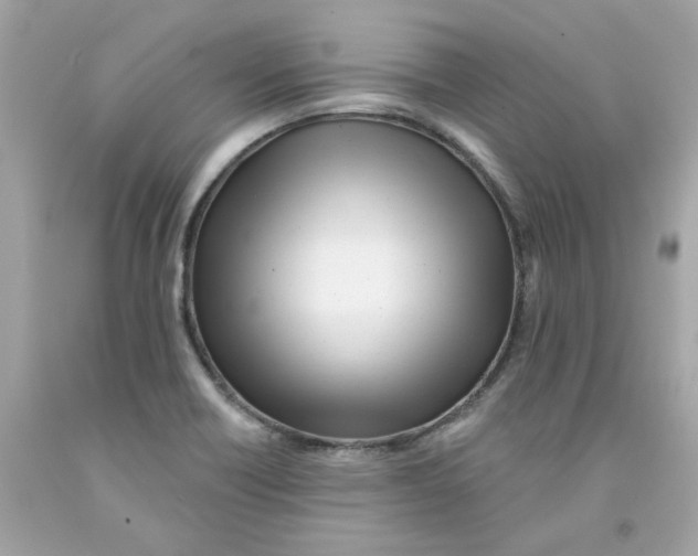 X0000091071418200709041210