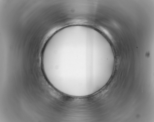 X0000091071419200709041210