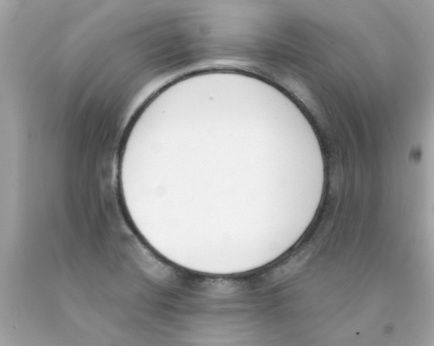 X0000091071420200709041210