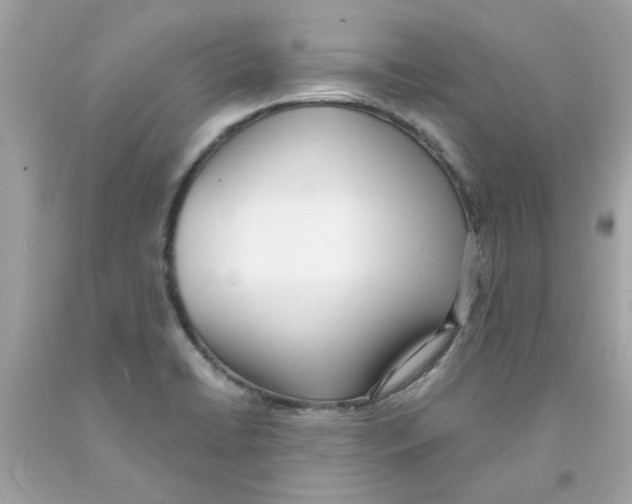 X0000091071422200709041210